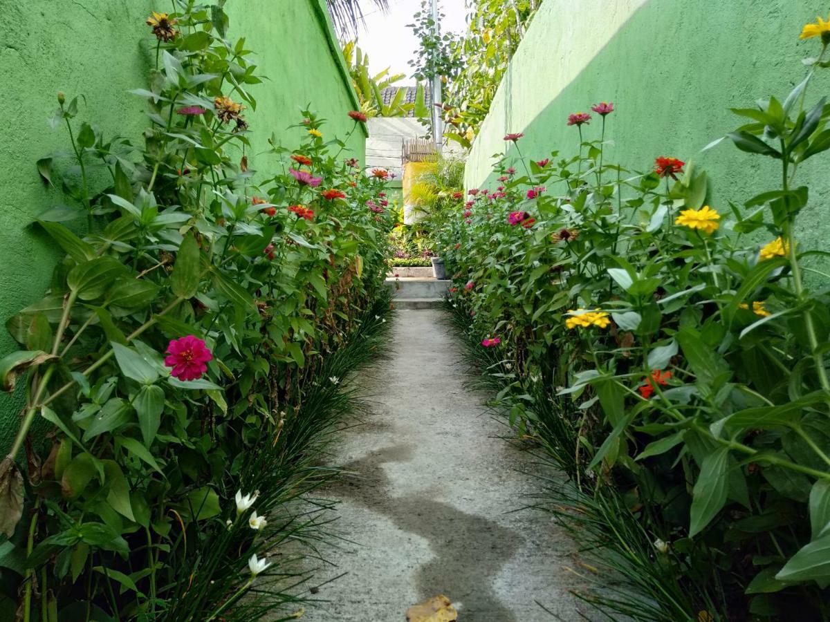 Rumah Mini Daire Ubud Dış mekan fotoğraf